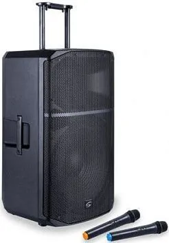 Soundsation Provibe-12AIR Акустическая система портативная, 2 микрофона.