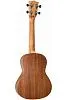 Flight NUC310 Укулеле концерт-8