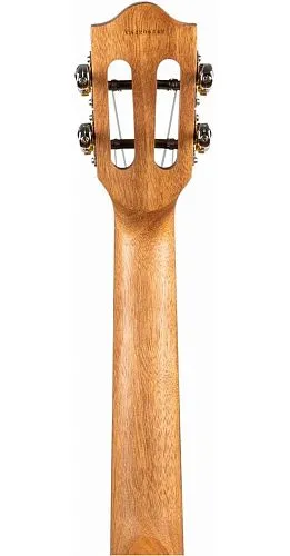 Flight IRIS Concert RD Укулеле концерт.