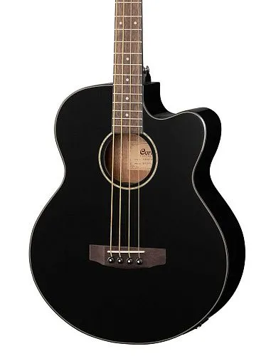 Cort AB850F-BK-Bag Бас-гитара акустическая.