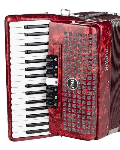 Aurus JH2021-R Аккордеон.