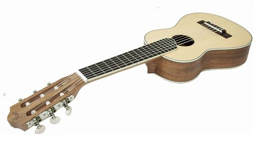 Flight GUT350 SP/SAP Гиталеле.